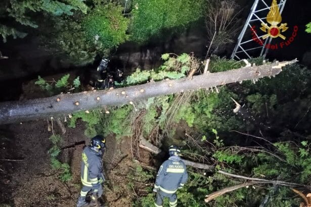 Sono stati 1.180 gli interventi effettuati dai Vigili del fuoco per il maltempo che da ieri sta interessando la Sicilia, la Calabria, la Campania e la Sardegna. La situazione più grave in Sicilia, la regione più colpita dal ciclone mediterraneo arrivato dal Nord Africa.