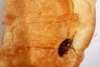 Una famiglia di Partinico è rimasta sconvolta da una scoperta disgustosa all'interno di una confezione di cornetti di una nota marca acquistata nella grande distribuzione: uno scarafaggio. La spiacevole sorpresa è avvenuta durante la colazione, quando una bambina di sette anni ha aperto la confezione e ha notato una "macchia scura" sopra il suo croissant. Dopo qualche istante di incredulità, la piccola ha realizzato che si trattava di una blatta, rimanendo profondamente turbata.