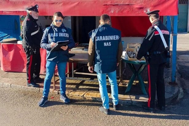 Scoperti sushi mal conservato e una pescheria abusiva. È il risultato dei controlli dei Carabinieri del Nucleo Antisofisticazione e Sanità di Palermo.