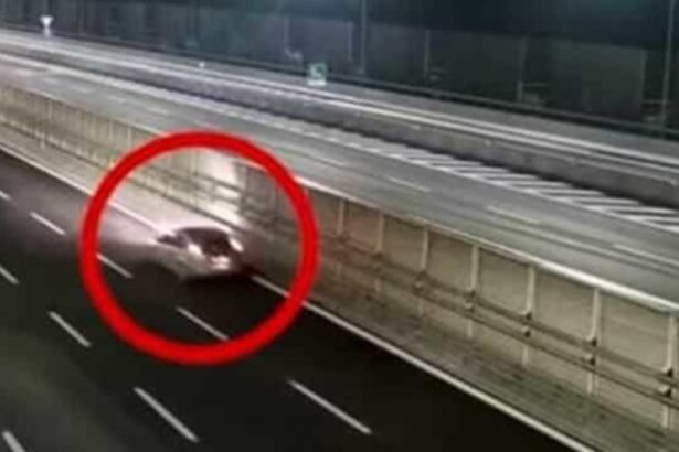 Momenti di paura ieri sera sull'autostrada A29 Palermo-Mazara del Vallo, nei pressi di Gallitello. Un automobilista, imboccando erroneamente la rampa d'accesso, si è immesso contromano in direzione Palermo, seminando il panico tra gli altri conducenti. Numerose le segnalazioni giunte alla Polizia Stradale da parte di automobilisti terrorizzati.