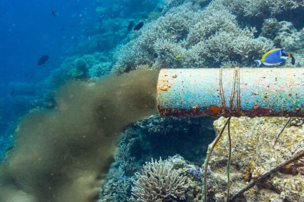 La stagione balneare 2025 a Palermo, in vigore dal primo maggio al 31 ottobre, si apre con un quadro contrastante: da un lato la revoca del divieto di balneazione nella spiaggia di Vergine Maria, dall'altro la conferma di restrizioni su oltre metà dei trenta chilometri di litorale cittadino. L'ordinanza, firmata dal sindaco Roberto Lagalla, recepisce i decreti dell'Assessorato Regionale alla Salute e riflette la situazione emersa dai campionamenti effettuati, che hanno evidenziato criticità in diverse aree. La spiaggia di Vergine Maria, invece, grazie alla qualità "eccellente" delle sue acque, come certificato dal Portale Acque del Ministero della Salute, torna finalmente fruibile ai bagnanti.