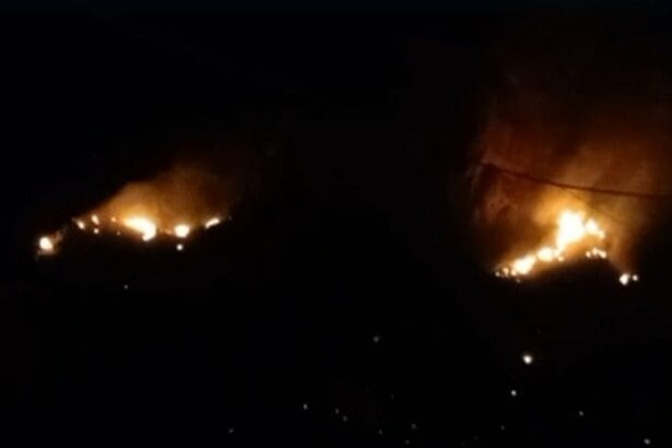 Un devastante incendio ha distrutto una grossa porzione di vegetazione, complice il forte vento di scirocco che spira in queste ore in Sicilia. Il rogo ha interessato la zona di Frassino, nel territorio di Custonaci, in provincia di Trapani.