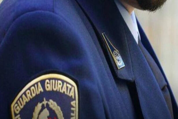 La Regione Siciliana, attraverso i Centri per l’impiego di Catania e Palermo e in collaborazione con la Coopservice Sca, ha organizzato due giornate di recruiting, con l’obiettivo di selezionare 60 guardie giurate da impiegare in Emilia Romagna, Lazio e Toscana. La prima tappa è prevista per martedì 3 giugno al Centro per l’impiego di Catania, in via Coviello 6, dalle ore 9 alle 17; la seconda si svolgerà giovedì 5 giugno, dalle ore 9 alle 17 a Palermo, in via Praga 27.