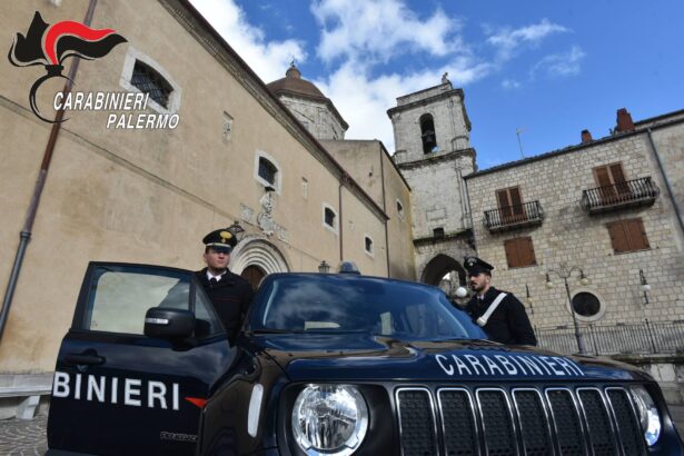 I Carabinieri della Stazione di Petralia Sottana hanno denunciato in stato di libertà un 26enne catanese, già noto alle forze di polizia, accusato di truffa aggravata ai danni di un'anziana petraliese.