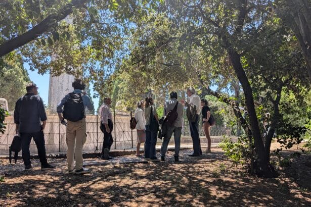 Palermo - Il Parco de La Favorita, per secoli testimone silente delle trasformazioni di Palermo, si appresta a vivere una nuova, vibrante stagione. Il piano di fattibilità per la sua rigenerazione, svelato questa mattina nella storica cornice di Villa Niscemi, non è solo un progetto urbanistico, ma una dichiarazione d'intenti: restituire alla città e ai suoi abitanti un patrimonio di inestimabile valore, trasformandolo in un luogo di incontro, cultura, svago e produzione sostenibile. Dopo un anno di studi approfonditi, il team di esperti guidato dal paesaggista Giuseppe Barbera, su mandato del sindaco Roberto Lagalla, ha tracciato la rotta per un futuro in cui i trecento ettari del parco diventeranno un "quartiere vegetale" pulsante.