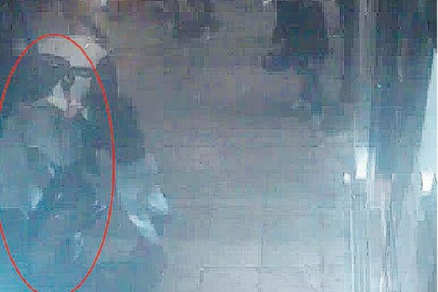 L'inizio della festa del Santissimo Crocifisso a Monreale si è trasformata in un incubo di violenza. Mentre decine di persone affollavano le strade, un commando proveniente dallo Zen ha seminato il terrore in via Benedetto D'Acquisto, aprendo il fuoco contro gli avventori del bar 365. Una rapida sequenza di eventi, ricostruita attraverso le immagini delle telecamere di sorveglianza, ha portato alla morte di tre giovani, Andrea Miceli, Salvatore Turdo e Massimo Pirozzo, e al ferimento di altri due. Venti colpi di pistola hanno squarciato la notte, lasciando dietro di sé una scena di panico e disperazione.