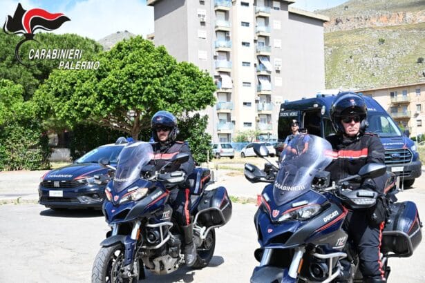 I carabinieri della Compagnia Palermo San Lorenzo, supportati dal personale della Compagnia di Intervento Operativo del 12° Reggimento Sicilia, del Nucleo Cinofili di Palermo Villagrazia, nonché da militari specializzati del Nucleo Antisofisticazioni e Sanità e del Nucleo Ispettorato del Lavoro, hanno dato condotto un servizio straordinario di controllo del territorio nel quartiere Borgo Nuovo di Palermo.