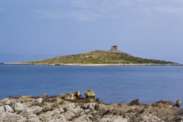 Bimba di 7 anni persa in spiaggia a Isola delle Femmine, ritrovata dopo 2 ore di angoscia Momenti di paura per una bambina di sette anni scomparsa sulla spiaggia di Isola delle Femmine. La piccola si trovava nell'area balneare adiacente all'hotel Saracen quando ha perso di vista i familiari.
