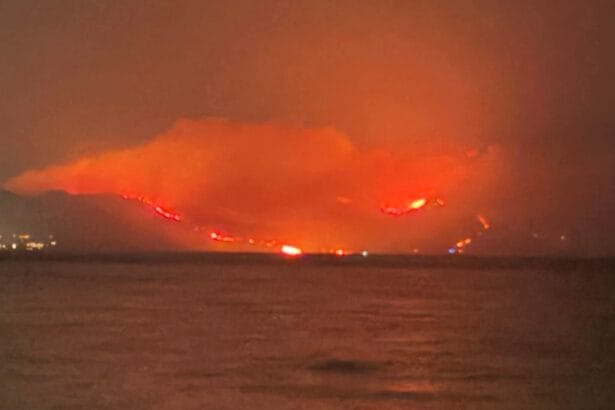Nella giornata di ieri sono stati registrati 380 eventi, grandi e piccoli, in quasi tutta l'Isola: i più gravi a Niscemi, in provincia di Caltanissetta; nel Trapanese, dove i roghi hanno interessato le zone di Monte Cofano, Custonaci, Makari, San Vito Lo Capo, Riserva naturale orientata dello Zingaro; a Piana degli Albanesi, in provincia di Palermo; nell'Ennese; a Biancavilla, in provincia di Catania; e a Messina.