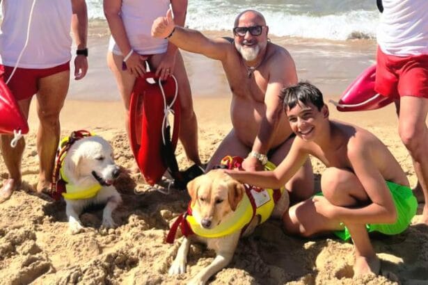 Angeli con la coda a Balestrate: nonno e nipotino salvati dai cani eroi Nala e Baloo Una giornata di mare che poteva trasformarsi in tragedia si è conclusa con un sospiro di sollievo a Balestrate, in provincia di Palermo, grazie al tempestivo intervento dei cani bagnino. In totale sono tre le persone tratte in salvo ieri in due distinti episodi, avvenuti nello stesso tratto di costa.