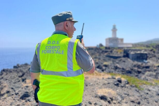 Sono 3.757 gli incendi registrati in Sicilia da maggio a luglio 2025 e hanno interessato 4.977 ettari di superficie boscata e 26.423 ettari di superficie non boscata. Sono alcuni dei dati che emergono dal sistema informativo "Astuto" del Corpo Forestale della Regione Siciliana, dall'inizio della campagna antincendio che ha preso il via il 15 maggio scorso. Nelle giornate più critiche, tra il 24 e il 26 luglio, al numero 1515 del Corpo Forestale sono pervenute 4.843 segnalazioni sulle 40.158 complessive gestite dall’inizio della campagna antincendio da parte delle nove sale operative provinciali degli ispettorati dipartimentali.