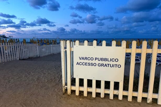 I concessionari dei lidi sulle spiagge siciliane devono prontamente applicare le regole previste dalla circolare dell'assessore al Territorio e ambiente Giusi Savarino sul divieto di utilizzo di staccionate o altre strutture rigide sulla battigia o di tornelli e altri dispositivi che limitano o condizionano l’accesso alle aree di libero transito. Due note a firma del dirigente del dipartimento Ambiente, Calogero Beringheli, ribadiscono e applicano i contenuti della circolare dello scorso 13 agosto. Una nota è indirizzata a tutti i gestori balneari, l'altra, in particolare alla società Italo-Belga, titolare dello stabilimento di Mondello a Palermo, a seguito della ispezione della Guardia di finanza e della Guardia costiera.