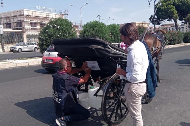 Palermo - Carrozza sottoposta a sequestro amministrativo e sanzione per un vetturino. Con questi provvedimenti si è conclusa, nei pressi del mercato ittico, una operazione da parte del personale dell’assessorato al benessere animale in coordinamento con quello del nucleo benessere animale ed Ippomontato della polizia municipale nell’ambito dei controllI per il rispetto dell’ordinanza sindacale che prevede per il periodo estivo lo stop alle carrozze trainate da cavalli nelle ore più calde della giornata.