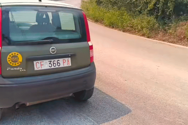 Grande apprensione tra i comuni di Altofonte e Piana degli Albanesi, dove un vasto incendio sta divorando ettari di vegetazione, arrivando a minacciare pericolosamente le abitazioni. Le fiamme, divampate in contrada Dingoli Scarà, si sono rapidamente propagate su due fronti, interessando sia l'area boschiva sottostante la zona di Coccio Moarda, sia il versante a valle della strada.