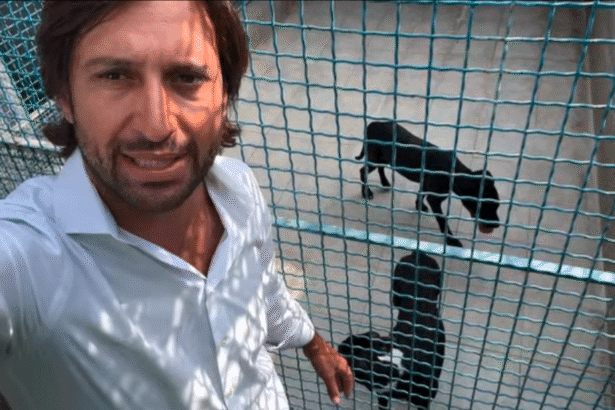 La Squadra mobile del Canile Municipale e gli agenti della Polizia Municipale di Palermo sono intervenuti per recuperare due cani di meno di un anno abbandonati e legati a un palo in zona Uditore.