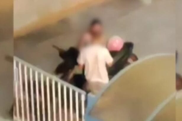 Una conversazione animata, poi il silenzio rotto da un gesto di violenza improvvisa. Accade a Palermo, nella zona di via Oreto, la sera del 27 agosto. Un residente, attirato dalle urla, decide di filmare la scena con il proprio smartphone: le immagini, crude e immediate, immortalano un'aggressione ai danni di una donna.