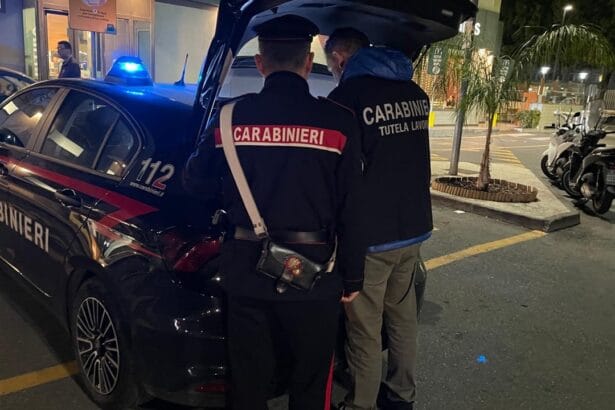 I Carabinieri del Gruppo Tutela Lavoro di Palermo coadiuvati dai militari delle Compagnie Carabinieri di Carini, Cefalù, Corleone, Monreale, Misilmeri, Petralia Sottana, hanno effettuato una serie di attività ispettive nei confronti dei commercianti ambulanti di "moda da strada" che, si possono riassumere così: un lavoratore irregolare in ogni bancarella.