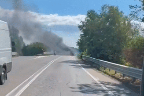Un denso fumo nero che si alza dal cofano, poi le fiamme che, in pochi istanti, divorano tutto. Pomeriggio di grande spavento lungo la strada statale 624, la Palermo-Sciacca, dove un'auto ha preso fuoco improvvisamente mentre era in marcia. L'episodio si è verificato intorno alle 15:00, all'altezza dello svincolo per San Cipirello, in direzione Sciacca.