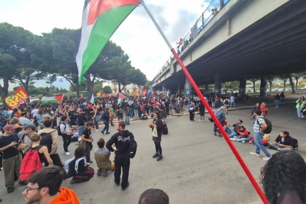 In tilt la viabilità di Palermo. Il cuore pulsante del traffico cittadino, viale Regione Siciliana, è stato letteralmente paralizzato da un'azione di protesta imponente e inaspettata. Migliaia di persone, partecipanti a un corteo a sostegno della causa palestinese, hanno occupato entrambe le carreggiate della circonvallazione, trasformando l'arteria principale della città in un palcoscenico di dissenso.
