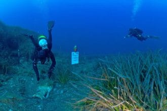 L’assessorato dei Beni culturali e dell’identità siciliana partecipa anche quest’anno alla Borsa mediterranea del turismo archeologico di Paestum, in programma dal 30 ottobre al 2 novembre, giunta alla sua XXVII edizione. L’evento, tra i più prestigiosi del settore, rappresenta un punto di riferimento internazionale per la valorizzazione e la promozione del patrimonio archeologico e culturale.