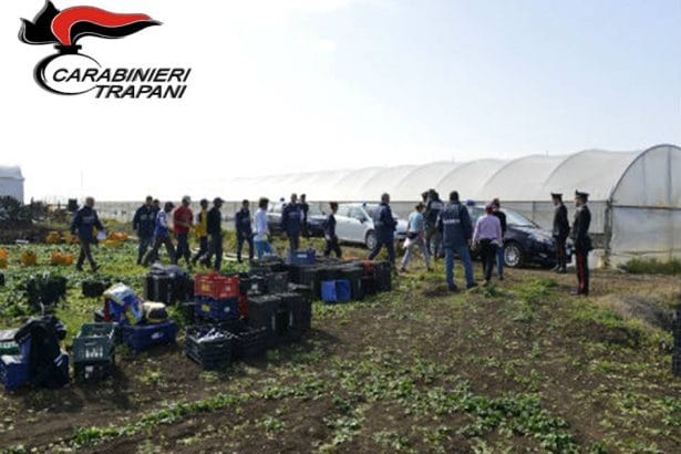 Caporalato e sversamenti illeciti nei frantoi: scatta il blitz dei carabinieri, 14 denunce I Carabinieri del Comando Provinciale di Trapani, insieme al Nucleo Ispettorato del Lavoro locale, al NAS di Palermo e al Nucleo investigativo ambientale e agroalimentare del Centro Anticrimine Natura di Palermo, hanno portato a termine nelle scorse settimane una serie di verifiche legate alla “Campagna Olearia 2025”. L'operazione rientra nelle determinazioni assunte dal Comitato Provinciale per l’Ordine e la Sicurezza Pubblica.