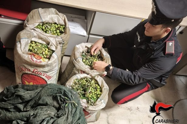 A Valderice i Carabinieri della locale Stazione Carabinieri, hanno tratto in arresto un 22enne e due donne di 28 e 19 anni, sorpresi di notte a rubare olive in un terreno di C/da Fico, le olive che i due avevano già raccolto, “oltre un quintale”, sono state restituite al legittimo proprietario.