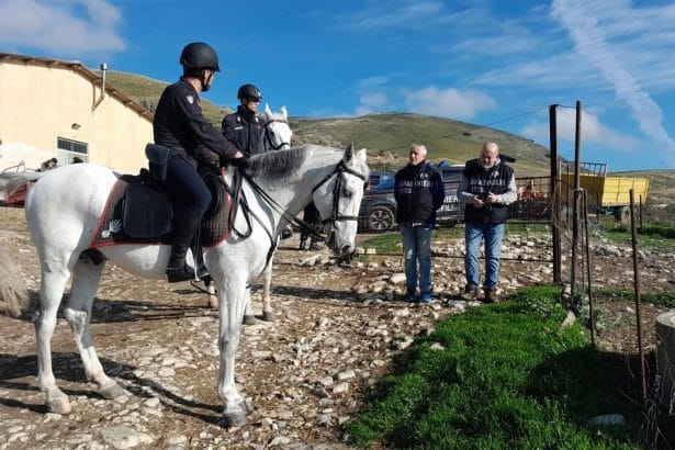 Il Gruppo Carabinieri di Monreale ha portato a termine una complessa operazione di controllo straordinario del territorio, svoltasi dall'11 al 19 dicembre, all'interno della Riserva Naturale Orientata "Bosco della Ficuzza, Rocca Busambra, Bosco del Cappelliere e Gorgo del Drago", un'area estesa che coinvolge i Comuni di Corleone, Godrano, Marineo, Mezzojuso e Monreale.