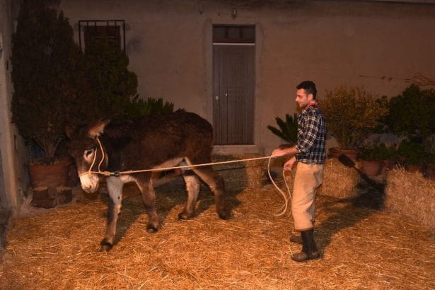 Cammarata si prepara a riaccendere la magia del Natale con la XX edizione del suo celebre Presepe Vivente, ormai riconosciuto come uno degli appuntamenti più evocativi dell’intera Isola. Nato nel 2003 all’interno della comunità parrocchiale di San Vito, grazie all’impegno dell’Associazione SS. Crocifisso degli Angeli, l’evento è cresciuto negli anni fino a diventare un simbolo identitario, capace di incantare spettatori di ogni età e provenienza.