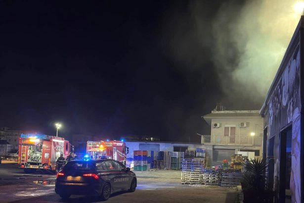 Un vasto incendio è divampato nel pomeriggio di oggi a Misilmeri, colpendo un magazzino impiegato per il confezionamento della frutta situato nei pressi di Villa Fabiana. Il rogo ha generato una densa e scura colonna di fumo, chiaramente visibile da diversi punti della zona circostante, destando preoccupazione tra i residenti.