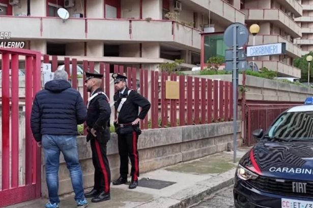 Segnalano una lite al 112, i Carabinieri arrivano e trovano il laboratorio della droga: manette per un 28enne Non era il solito rifugio di fortuna per trascorrere il tempo tra amici, ma un vero e proprio centro di stoccaggio e lavorazione della marijuana. I Carabinieri della stazione Palermo Crispi hanno smantellato una serra artigianale allestita all'interno di un box in via Salvatore Puglisi, a pochi passi dalla zona Fiera. L'operazione ha portato all'arresto di un 28enne palermitano, già noto alle autorità, con l'accusa di detenzione ai fini di spaccio.