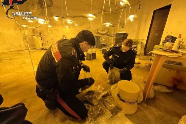 MONREALE - Un insospettabile quarantenne di Monreale è finito agli arresti domiciliari dopo un blitz dei Carabinieri scattato alle prime luci dell’alba. L'uomo, incensurato fino a ieri, è accusato di aver allestito una vera e propria centrale della droga all'interno della propria abitazione, sfruttando inoltre un allaccio abusivo alla rete elettrica pubblica.