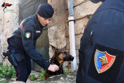 Un vero e proprio kit per l'offesa e lo spaccio quello scoperto dai Carabinieri durante un controllo mirato nel territorio di Capaci. L'operazione, condotta con il supporto fondamentale delle unità cinofile di Palermo Villagrazia, ha portato all'arresto di un giovane palermitano di 21 anni, ora rinchiuso nel carcere "Pagliarelli".