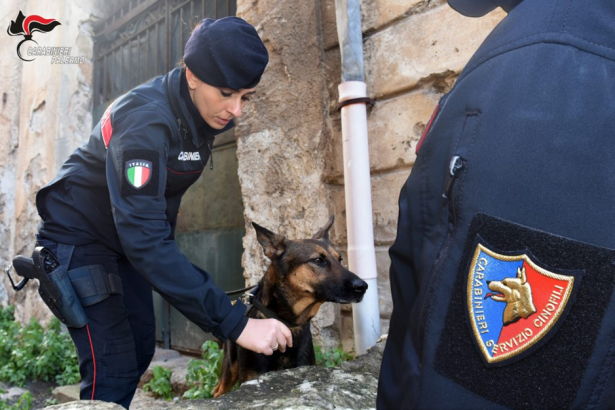 Un vero e proprio kit per l'offesa e lo spaccio quello scoperto dai Carabinieri durante un controllo mirato nel territorio di Capaci. L'operazione, condotta con il supporto fondamentale delle unità cinofile di Palermo Villagrazia, ha portato all'arresto di un giovane palermitano di 21 anni, ora rinchiuso nel carcere "Pagliarelli".