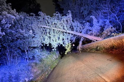 La Sicilia è alle prese con condizioni meteorologiche avverse che stanno mettendo a dura prova l'intero territorio regionale. Nelle ultime ventiquattro ore, raffiche di vento intense hanno causato numerosi danni e situazioni di pericolo concentrate soprattutto nelle province di Palermo e Messina. Le squadre dei vigili del fuoco lavorano ininterrottamente per gestire le criticità, mentre la Protezione civile continua a tenere sotto controllo l'evoluzione del quadro meteorologico.
