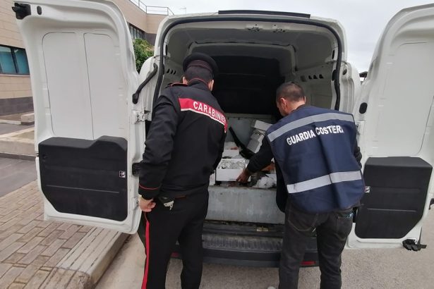 Palermo, nelle pescherie vendevano pesce illegale e novellame protetto: sequestrati 300 kg Blitz contro la vendita illegale di pesce a Palermo: carabinieri, capitaneria di porto e polizia municipale hanno sequestrato quasi 300 chili di prodotto ittico non tracciato e novellame di sarda in tre attività commerciali della città.