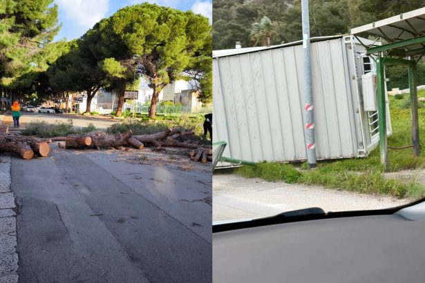​Una violenta ondata di maltempo sta colpendo Palermo, con raffiche di vento che hanno superato i 90-100 km/h, causando pesanti criticità in diverse zone della città. L'episodio più grave si è registrato in via Ugo La Malfa, all'altezza del centro Euronics Bruno, dove un pino di grosse dimensioni è stato sradicato dalla furia delle raffiche, piombando sull'intera carreggiata.