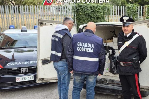PALERMO - Quasi una tonnellata di prodotto ittico illegale è stata sequestrata dalla Guardia Costiera di Palermo. I controlli hanno interessato magazzini e punti vendita del capoluogo e della provincia, facendo emergere gravi irregolarità nella filiera della vendita del pesce.