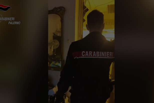 Palermo - Un odore nell’aria, un dettaglio che non passa inosservato e la decisione di andare a fondo. È da qui che prende avvio l’operazione dei motociclisti del Nucleo Radiomobile dei Carabinieri di Palermo che, nel quartiere Noce, hanno scoperto una serra clandestina destinata alla coltivazione di marijuana, arrestando in flagranza un palermitano, di 63 anni, già noto alle forze dell’ordine per detenzione e produzione di sostanza stupefacente e furto aggravato di energia elettrica.