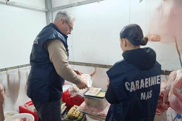 I Carabinieri del Nucleo Antisofisticazione e Sanità di Palermo hanno effettuato un'ispezione igienico-sanitaria in una macelleria della città, riscontrando gravi irregolarità che hanno portato a sequestri e sanzioni amministrative.