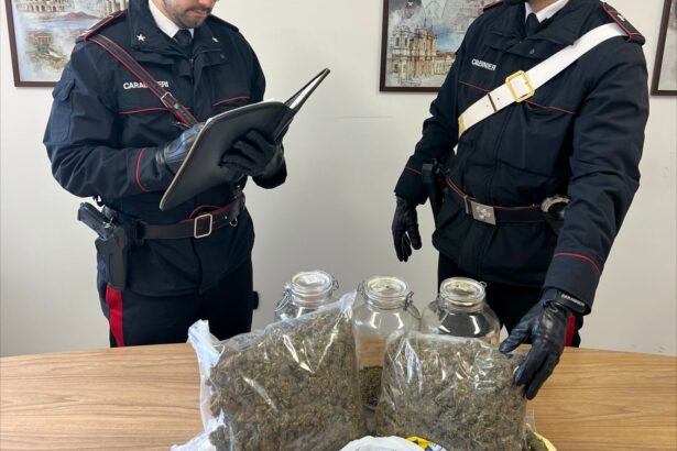 Il cane antidroga "Nadia" fiuta due chili di marijuana in un garage a Partinico: arrestato il proprietario Nell’ambito di una più ampia strategia di prevenzione e contrasto ai fenomeni di illegalità, i Carabinieri della Compagnia di Partinico coadiuvati nelle fasi esecutive dal Nucleo Cinofili di Palermo Villagrazia, hanno eseguito un servizio coordinato di controllo del territorio nelle aree a maggiore sensibilità del circondario, finalizzato alla tutela della sicurezza pubblica e al monitoraggio della circolazione stradale.