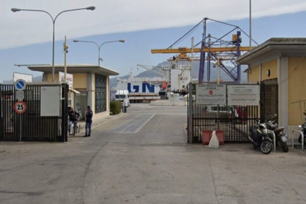 "Alla luce del tragico incidente avvenuto a Palermo, che ha causato la morte della signora Ornella Manzella, investita da un mezzo pesante in via dell'Arsenale, appare improcrastinabile l'avvio di una interlocuzione istituzionale con la dottoressa Annalisa Tardino, nella sua qualità di Presidente dell'Autorità di Sistema Portuale del Mare di Sicilia Occidentale". Lo dichiara Alessandro Benincasa, consigliere dell'Ottava Circoscrizione del Comune di Palermo.