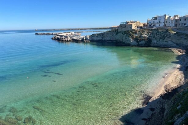 Buone notizie per Terrasini in vista della stagione estiva: le acque marine lungo l'intero litorale comunale sono state dichiarate balneabili. Lo confermano le analisi effettuate dall'Asp, che hanno dato esito positivo per tutti i tratti di costa monitorati.