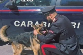 Un uomo di 64 anni, residente in Svizzera, è stato denunciato a San Giovanni La Punta dopo aver lasciato il proprio cane chiuso nel bagagliaio dell'auto con i finestrini completamente chiusi, nel parcheggio di un centro commerciale.