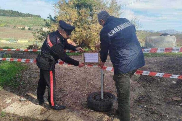 Un deposito abusivo di rifiuti di oltre 320 metri quadrati smantellato a Brancaccio: sei uomini nei guai dopo un'operazione congiunta dei carabinieri di Palermo Villagrazia e del Nipaaf nell'area tra via Brasca e piazzetta Maredolce.
