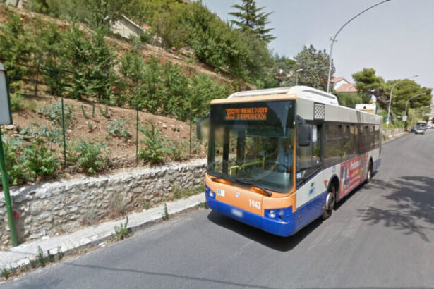 Migliorare i collegamenti in bus tra Palermo e Monreale e favorire la mobilità di residenti e turisti. Per questi obiettivi la Regione Siciliana ha autorizzato il prolungamento della linea urbana 389 dell'Amat, società che gestisce il trasporto pubblico nel Comune capoluogo, nel territorio di Monreale.