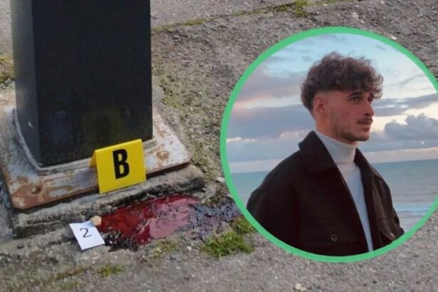 Gabriele Vaccaro aveva 25 anni, un lavoro alle Poste Italiane e tutta la vita davanti. Stanotte non è tornato a casa. Il giovane originario di Favara, in provincia di Agrigento, è stato accoltellato al collo in un parcheggio di Pavia ed è morto poco dopo in ospedale. Un omicidio brutale, consumato intorno alle tre di notte nell'area Cattaneo, nei pressi di viale Matteotti.