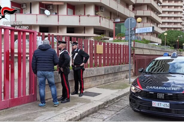 Furti in serie a Palermo tra spogliatoi e centri benessere: in manette una 31enne ricercata I Carabinieri della Stazione Palermo Crispi hanno tratto in arresto una donna palermitana di 31 anni, nota alle forze di polizia e destinataria di un’ordinanza di custodia cautelare emessa dalla V Sezione Penale della Corte d’Appello di Palermo. La donna, che si era resa irreperibile violando la precedente misura degli arresti domiciliari a cui era sottoposta, è stata rintracciata all'interno di un rifugio improvvisato.