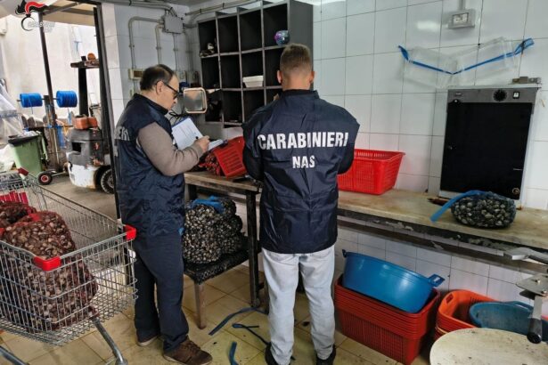 Oltre quattro quintali e mezzo di prodotti ittici sequestrati e avviati alla distruzione, un vivaio di molluschi chiuso per gravi carenze igienico-sanitarie, sanzioni per circa 11.000 euro. È il bilancio dell'operazione condotta negli ultimi giorni dai Carabinieri del Nucleo Antisofisticazioni e Sanità (NAS) di Palermo nell'ambito dei controlli nazionali sulla filiera del pesce.