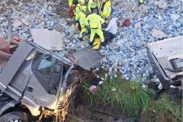 Grave incidente nel pomeriggio sull'Autostrada A19 Palermo-Catania: un tir è precipitato da un cavalcavia al chilometro 130, in prossimità dello svincolo per Mulinello, nel territorio di Enna. Le cause del sinistro sono ancora al vaglio delle autorità competenti.