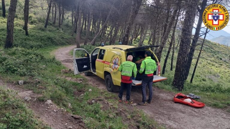 final 6